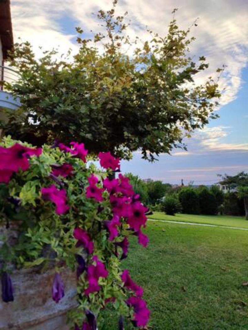 Wonderful Villa With Great View In Posidi-Kalandra Exterior photo